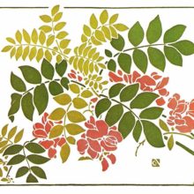Color plate showing Art Nouveau foliage and flower decoration inspired by natural shapes