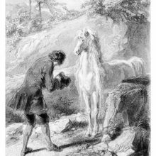 A man with his hat in his hands bows before a white horse with a lavish, wavy mane