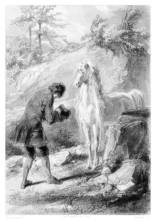 A man with his hat in his hands bows before a white horse with a lavish, wavy mane