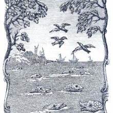 Seascape showing fishes at the surface of the water, birds in the sky, and boats on the horizon