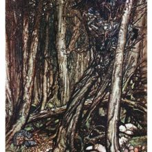 View of a dense forest with creepy creatures in a nest and gnomes walking along a rook