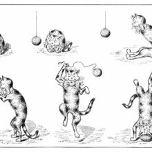 View of a cat in six states of increasing excitement after its encounter with a catnip ball