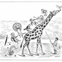 Various animals which were riding on a giraffe's back tumble down its spine as it raises its neck