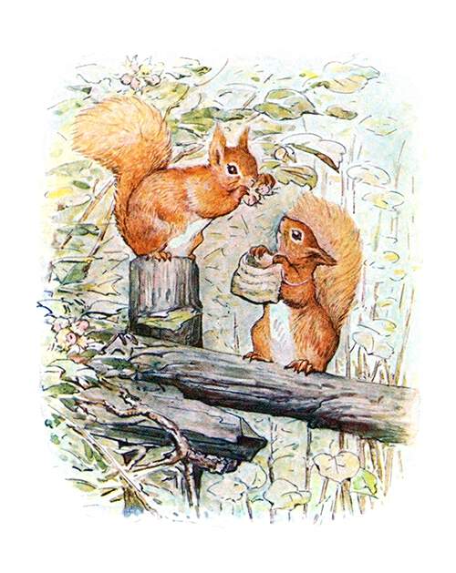 Two squirrels are sitting on a fence, one picking hazel nuts, the other holding out a tiny bag