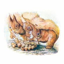Three squirrels are pressed together around a small heap of hazel nuts