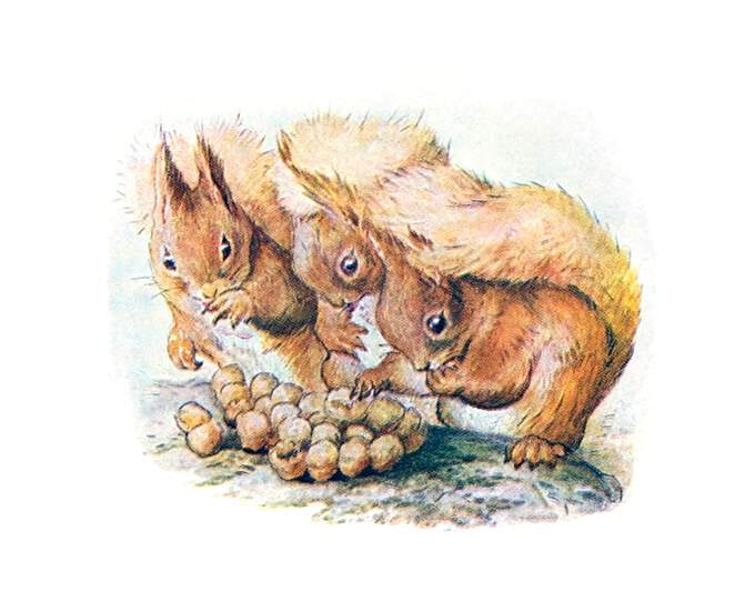 Three squirrels are pressed together around a small heap of hazel nuts
