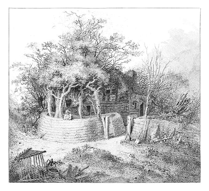 A man leans on a fence which surrounds a clump of trees standing in front of a small cottage