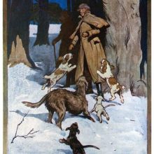 Two men walking in the snow are greeted by elated dogs as they come out of the shadow of tall trees
