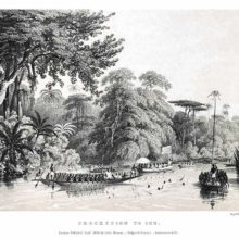 View of the river Niger and the tropical forest showing numerous rowing boats on the water