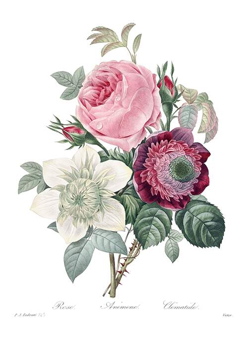 Bunch of flowers consisting of a pink rose, a white anemone, and a purple clematis