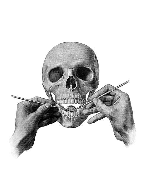 The hands of a dentist are seen demonstrating on a skull how to use a dental mirror