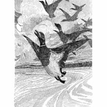 A flock of wild ducks is seen soaring up into the sky above the shore of a lake