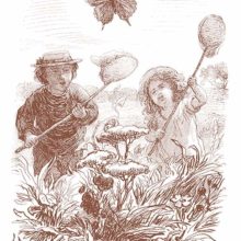 A boy and a girl with butterfly nets are running side by side among the grass after a swallowtail