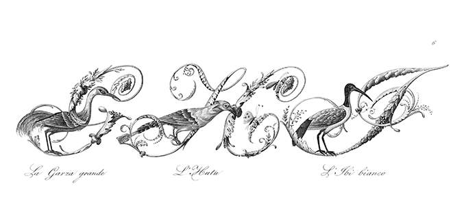 Plate showing ornamental capital letters G, H,and I embellished with foliage and pictures of birds