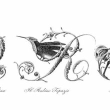 Plate showing ornamental capital letters Q, R, and S embellished with pictures of birds