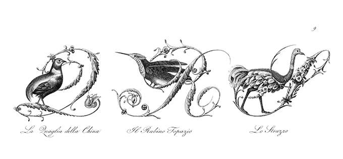 Plate showing ornamental capital letters Q, R, and S embellished with pictures of birds