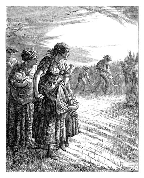 Women form a line in a field while looking toward men reaping wheat with their sickles