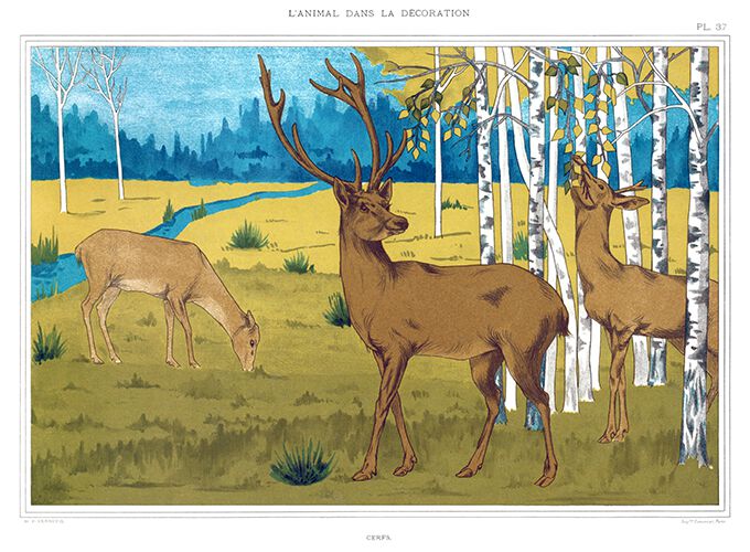 Animals – Old Book Illustrations Animals – Old Book Illustrations