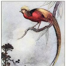 A golden pheasant is perched on a branch as a man with a bow and a woman stand at some distance