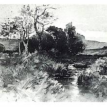 View of a clump of trees with a brook flowing toward the viewer.