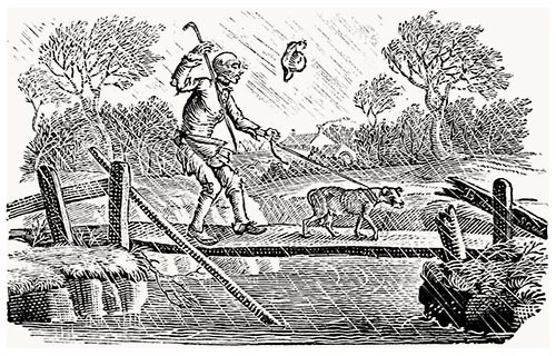 Tailpiece from A General History of Quadrupeds