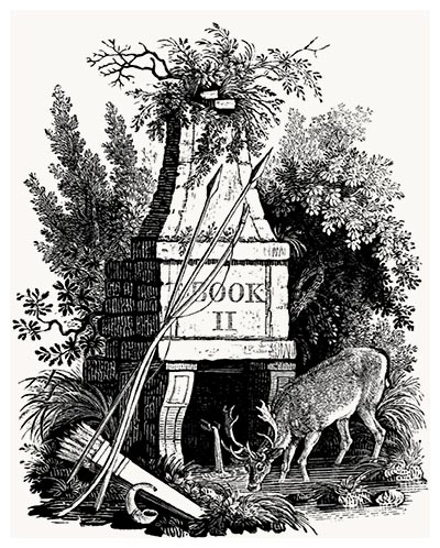 Decorative vignette for Somerville’s Chase
